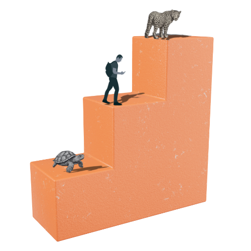 The Data Quality Maturity Curve